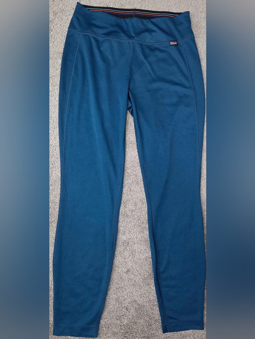 Patagonia Women's Teal Blue Track Joggers
